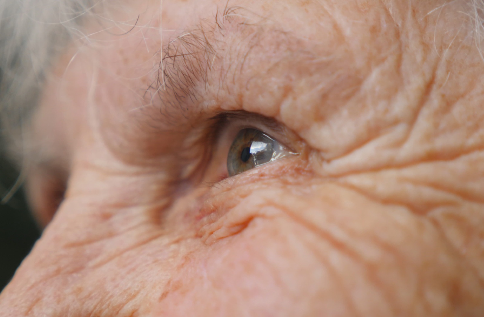 Close up of an older persons eye