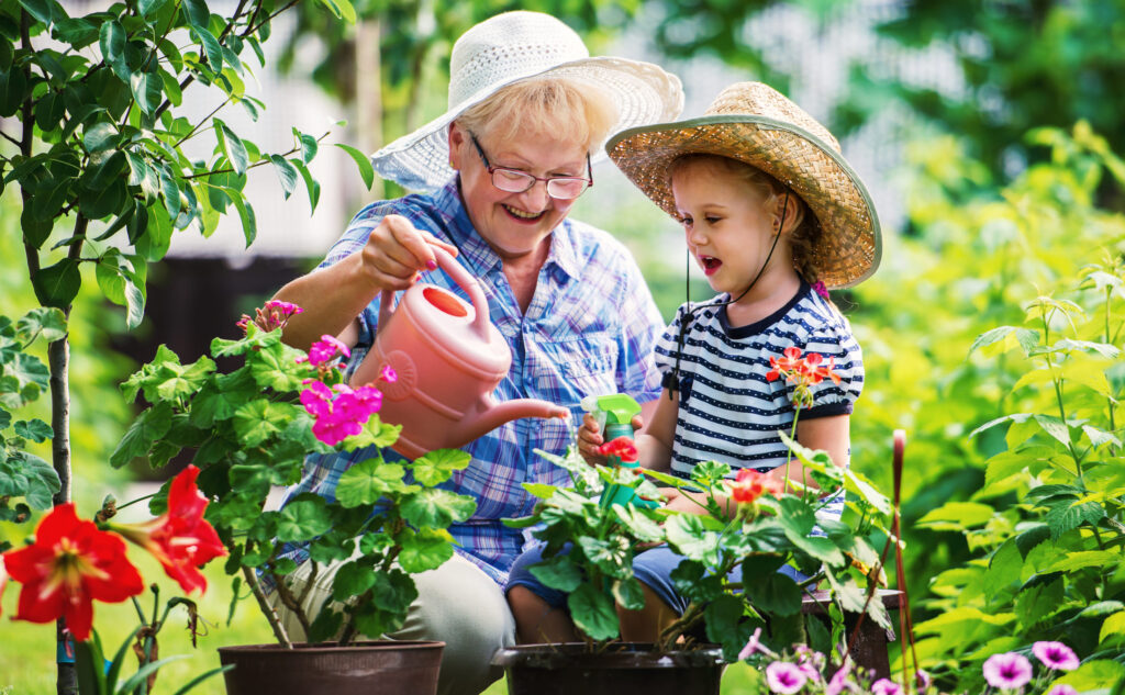 An elderly woman with glasses and a young girl, both wearing hats, enjoying gardening together while watering plants, reflecting moments of joy despite AMD disease progression.